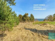 Vaade merele!