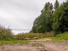 Seljametsa Järv- võimalus luua midagi erilist