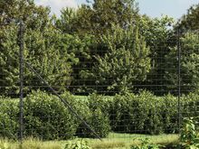 vidaXL traataed, antratsiithall, 1,4 x 25 m, tsingitud teras