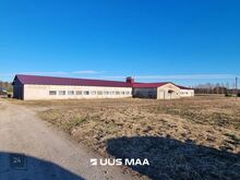 MÜÜA FARMI KINNISTU, MIILA KÜLAS