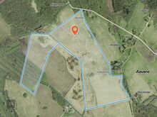 Müüa suur kinnistu Harjumaal – 53,14 ha