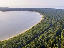 Mereäärne kinnistu liivarannal ja männimetsa all