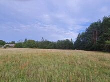 Müüa Tengi kinnistu, 3 kõrvutiasetsevat katastriüksust, kogupinnaga 2,17 ha, 100 % elamumaa, kau