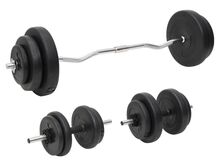 vidaXL kangi ja hantlite komplekt ketastega, 60 kg