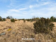 Tule kliendipäevale 14.06.2026 kell 16.00-16.30!