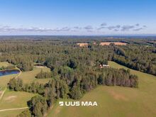 Kruusamaardla ja metsaga kinnistu hea hinnaga!