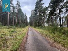 KUURORTLINNAS HEA HINNAGA MAATÜK MÜÜGIS