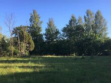 Privaatne kinnistu Ridalas.