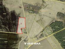 Müüa 2,97 ha suurune kinnistu Vanamõisa külas Haljala vallas L-Virumaal