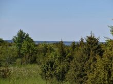 DP, El 3x10A, Puurkaev, Juurdepääs, 3,86ha!
