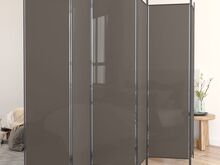 vidaXL 6 paneeliga ruumijagaja, antratsiithall, 300x220 cm, kangas
