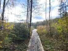Privaatne suvilakompleks järvede ja metsade keskel Tartust 30km