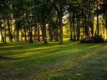 Sinu privaatne mõisapark