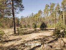 Müüa ca 4600 m² suurune elamumaa krunt, mis asub Nelgi tänaval, Tallinnas