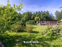 OLEMAS KEHTIV HINDAMISAKT 229 000 EUR!