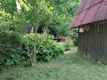 Väike kinnistu Puka alevis