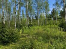 Läbimõeldud arendus perele, kes hindab kvaliteeti