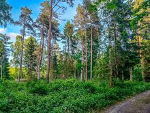 Müüa suured privaatsed elamukrundid Sakust 2,5km!