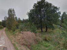 Eramu projektiga elamumaa rohelises ümbruses.