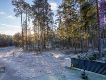 Kõrghaljastusega elamumaa Haapsalus
