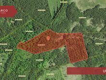 Müüa 13,5 ha metsamajanduslik kinnistu Saaremaal.