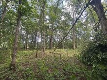 Looduskaunis metsa kinnistu Tallinnast 70km