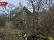Müüa suur ja privaatne kinnistu metsade vahel!