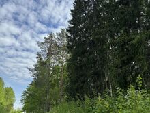 Elamumaa krunt Kadarpikus, Haapsalu lähistel
