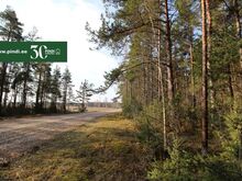 Ilusa männimetsaga kinnistu