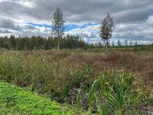 Müüa maa - Kasepää, Peipsiääre vald, Tartumaa