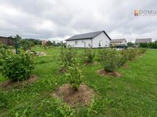 Üürida suurem kinnistu, kuhu on ehitatud värske saunamaja
