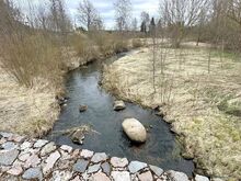 Purtsi jõe ääres vana talu koht metsaga