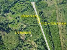 Kodu rajamiseks sobilik maatükk Pühajõe ääres