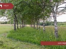 Vana talukoht Tuula külas!