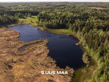 Kesk metsikut Võrumaa loodust 50,13ha! Järv, ehitusõigus.