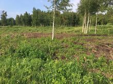 Merevaatega kinnistu Läänemaal