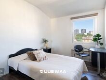 Hoovipoolne, kõrged laed. Hindamisakt. Airbnb võimalus.