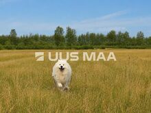 Piisavalt kaugel, samas nii lähedal!