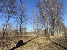 Hea asukohaga elamumaa Peipsi lähedal!