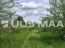 Müüa 1,4 ha maatulundusmaa Ruila külas
