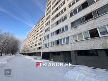 NB! Osa fotosid on loodud tehisintellekti abil