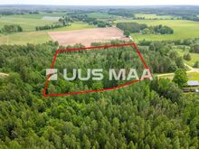 3,7 ha suurune hoonestamata kinnistu metsade vahel, hea ligipääs