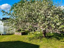Suvila Tammistes/Pärnus
