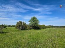 Muhus on tükk maad müüa!