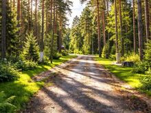 ELAMUMAA KINNISTU MÄNNIMMETSAS