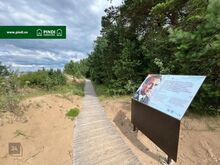 Rannaga piirnev elamumaa kinnistu Narva-Jõesuu linnas
