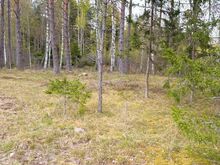 Liivarand