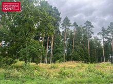 Männimetsaga krunt oma kodu loomiseks.