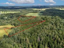 Müüa privaatsed segametsaga krundid Tallinast 22km