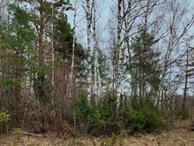 MÜÜA SUUR ELAMUMAA KRUNT HAAPSALU LÄHEDAL – PUSKU KÜLAS